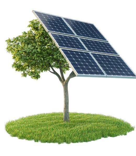 solar-power-tree-green-energy-innovation